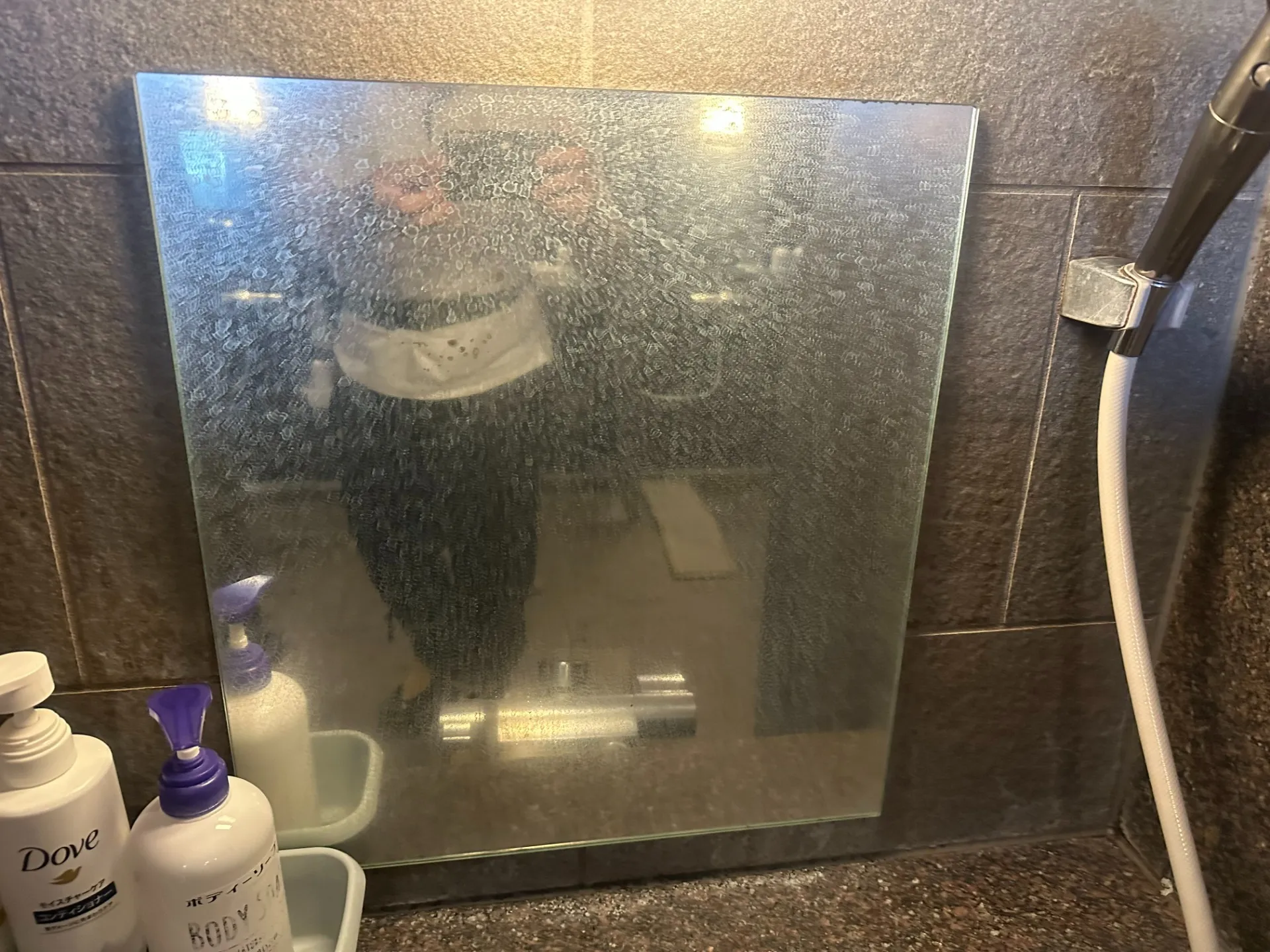 洗い場の鏡のウロコ汚れ除去